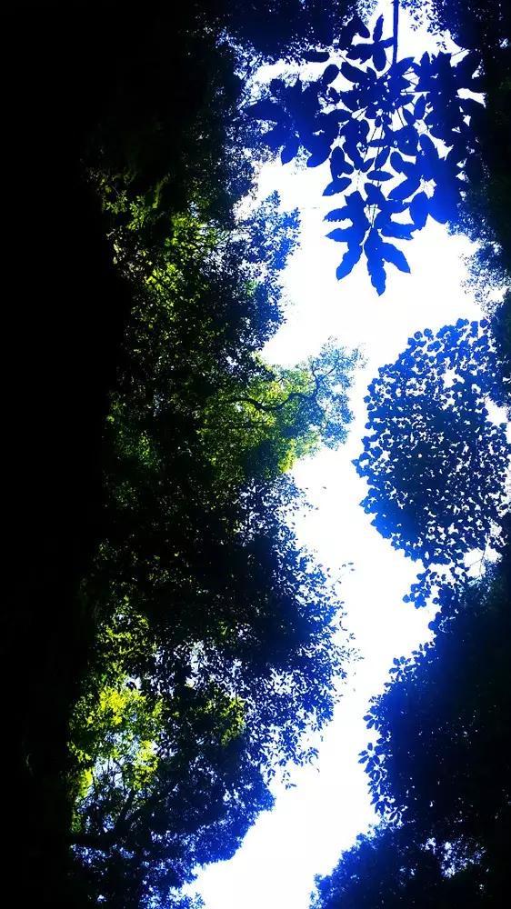 小猫钓鱼开船版最新版下载