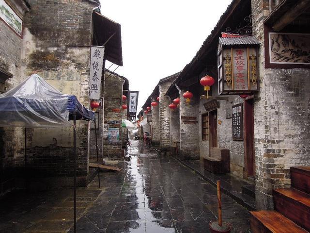 动物帮帮忙保卫家园